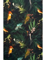 Linnut ja sammakot puuvilla